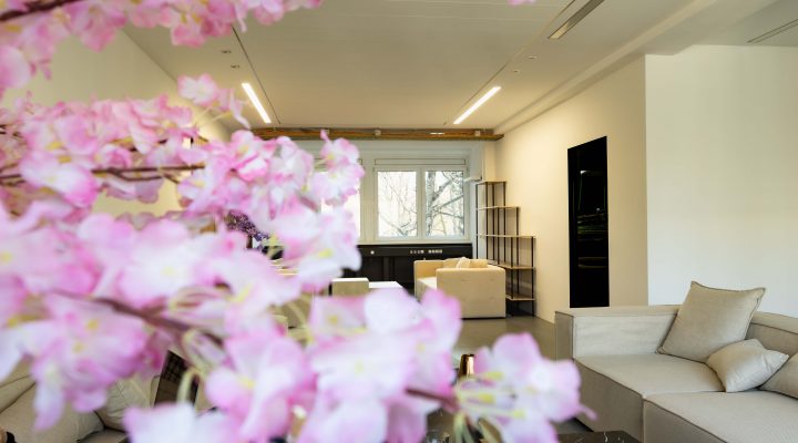 SimpliParadyse Wohnzimmer